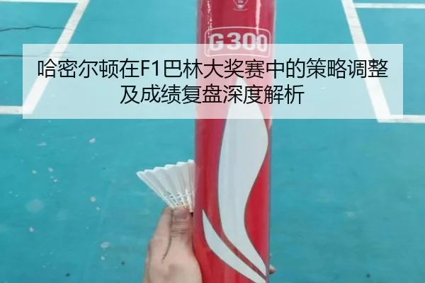 哈密尔顿在F1巴林大奖赛中的策略调整及成绩复盘深度解析
